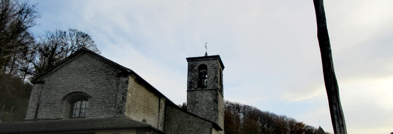 Lo chiamavano Francesco &ndash; Cammino nelle Foreste Casentinesi