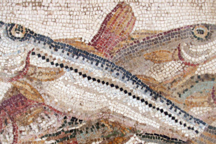 Pesci, pescatori e salsa di pesce dall’antica Roma a oggi