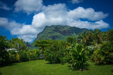 Moorea Tahiti
