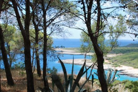 Soft trekking nel SALENTO: tra natura e tradizioni nel Golfo di Gallipoli