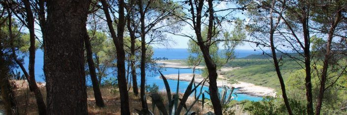Salento TreK: tra natura e tradizioni nel golfo di Gallipoli