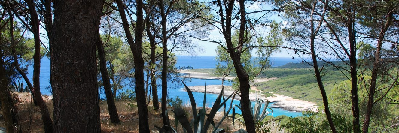 Soft trekking nel SALENTO: tra natura e tradizioni nel Golfo di Gallipoli