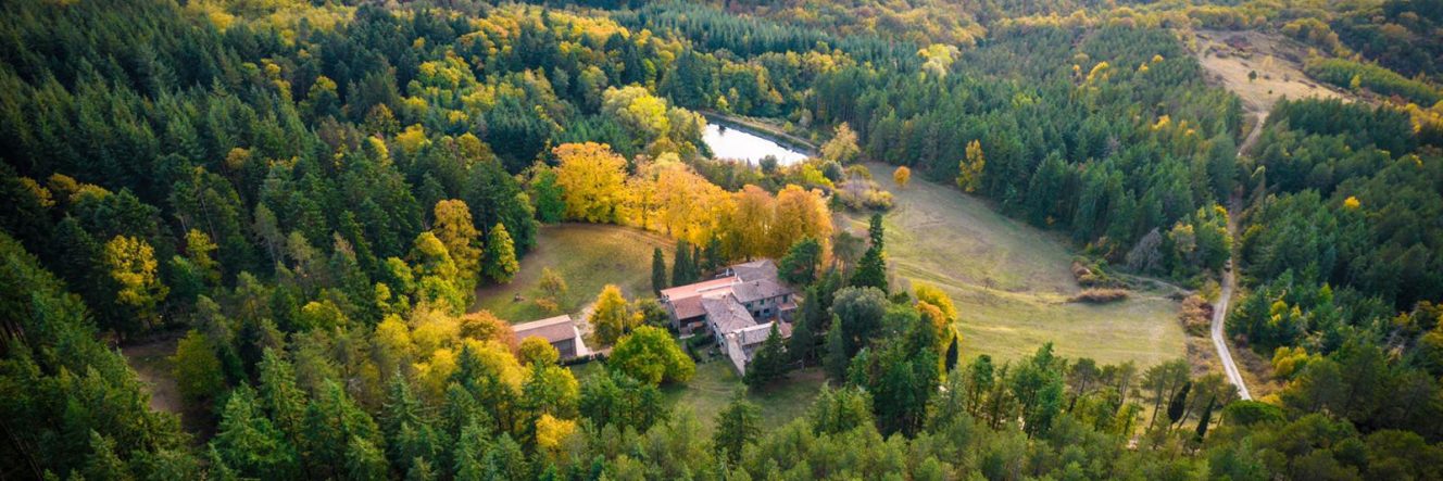 Il Cuore Verde del Chianti – Yoga Retreat