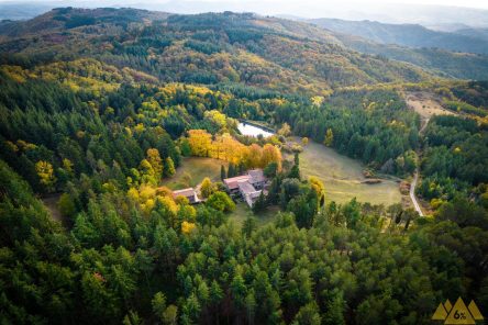 Il Cuore Verde del Chianti – Yoga Retreat