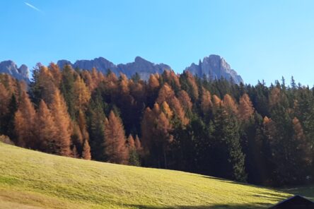 Weekend dei larici dorati (2° edizione!). Autunno alpino nelle Dolomiti