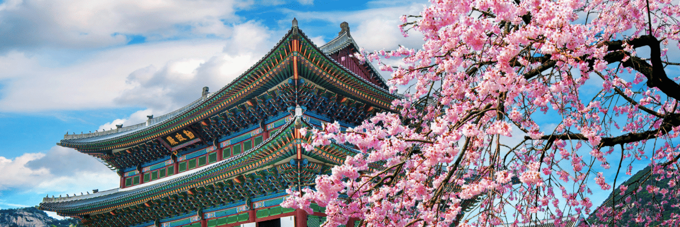 Un viaggio culturale nella Corea più autentica: tra lanterne, montagne sacre e il patrimonio UNESCO