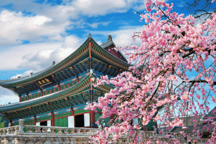 Un viaggio culturale nella Corea pi&ugrave; autentica: tra lanterne, montagne sacre e il patrimonio UNESCO